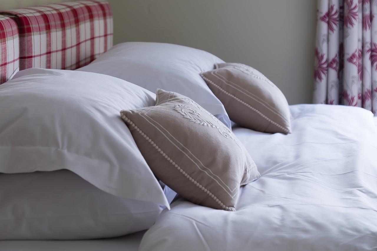 The Graig Bed & Breakfast Ludlow 파던 외부 사진