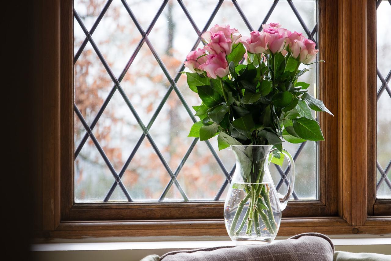 The Graig Bed & Breakfast Ludlow 파던 외부 사진