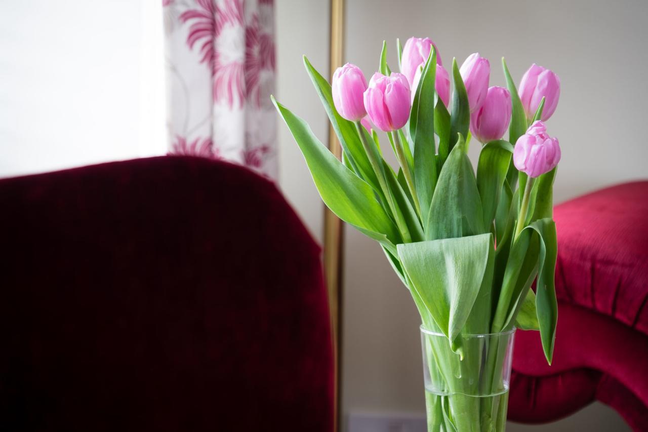 The Graig Bed & Breakfast Ludlow 파던 외부 사진